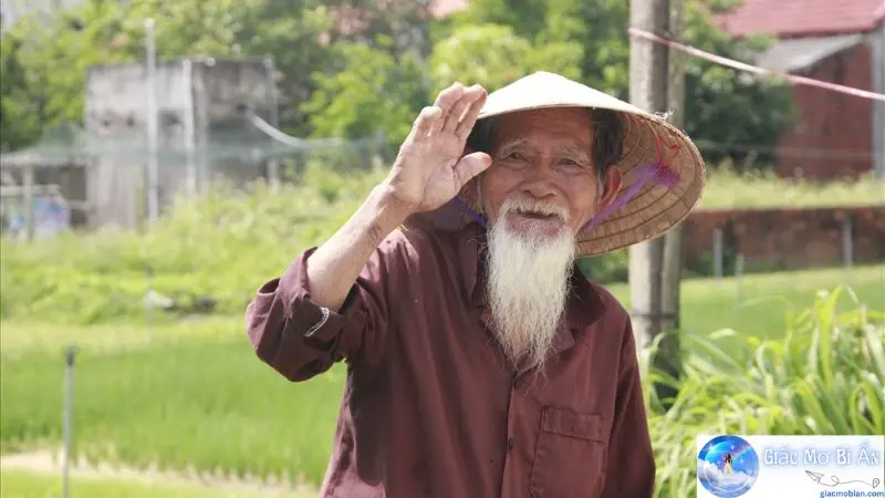 Mơ thấy cụ già đánh con gì